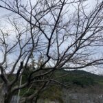 ハプニングを乗り越えて、強くなる。 #3382