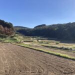 世間は三連休。でも、働くのも悪くない。 #3391