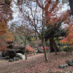 子ども達の行事へ参加。今だけの楽しみ。 #3406