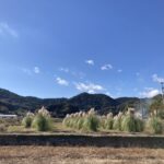 今日もヒヤリハット。それでよし。 #3405