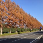 息子の試合の応援へ。伝えるべきことをしっかりと伝える。 #3407