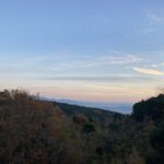 ジムへ休会届を提出。一抹の寂しさ。 #3412