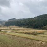 やらずの後悔よりも、やっての後悔。これが自分だ。 #3416