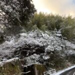 今日も一日が無事に終了。それが幸せ、それで幸せ。 #3444