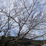 一日の運転を無事に終えた。でも、、、 #3451