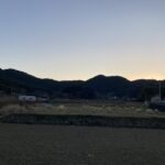 春が来た。季節は巡る。 #3482