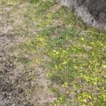 今日も一日が無事に終わった。これで良し。 #3488