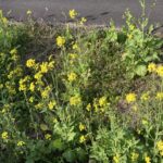 後悔を背負ったまま生きる。それでよかった。 #3494