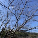 一日の仕事が無事終了。これで十分。 #3500