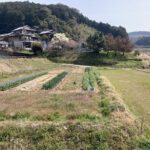 今日も一日の運転を無事に終えた。これでいい。 #3508