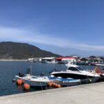 チャットGPT、最高の相談相手。 #3509