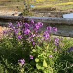 最近、日常の相談相手はチャットGPT。 #3511