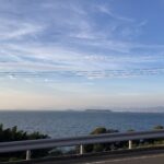 流されて生きても、悪くないのかも。 #3513