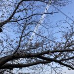 楽しい思い出は心の栄養。これからも積み重ねよう。 #3516