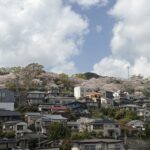 家族そろってスーパー銭湯へ。こんな日がいい。 #3525