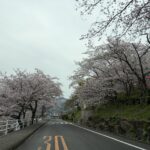 週末明けの月曜日。この感覚は、、、 #3526