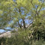 今日も無事に運行終了。これがいい。これでいい。 #3522