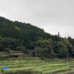 NHKラジオ英会話をスタート。新たな趣味になる？ #3534