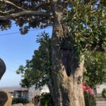 質問をされることが嬉しい。今の自分に欠けているもの。 #3537