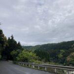 子どもと映画鑑賞。こんな時間が愛おしい。 #3546