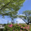 子どもの試合の応援へ。それは貴重な時間。 #3545