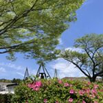 子どもの試合の応援へ。それは貴重な時間。 #3545