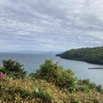 今日もNHKラジオ英会話。習慣の力。 #3544