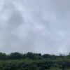 雨の一日。いつも以上に安全第一。 #3550