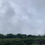 雨の一日。いつも以上に安全第一。 #3550
