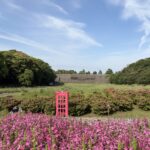 一泊二日の家族旅行。幸せ時間。 #3552