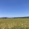いまだ押し寄せる後悔の波。そんな自分を受け止める。 #3555