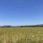 いまだ押し寄せる後悔の波。そんな自分を受け止める。 #3555