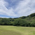 未来に楽しみがあるということ。 #3562