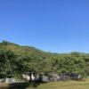 顔を見たい、と言ってくれる人のいる嬉しさ。 #3581