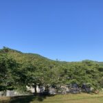 顔を見たい、と言ってくれる人のいる嬉しさ。 #3581