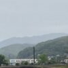 厚意に甘えきれない自分。。。でも、それも自分。 #3585