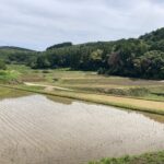 今の人生の延長線上にない未来を見てみたかった。 #3593