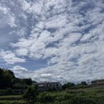今日は調子がいい、と思える大切さ。 #3596