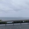 仕事の日はラジオ英会話&筋トレ。これで満足の一日。 #3605