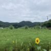 非番の日、仕事やらされている感ゼロ。何が違う？ #3608