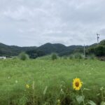 非番の日、仕事やらされている感ゼロ。何が違う？ #3608