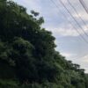 ヒヤリハット。クラクションに感謝。 #3618