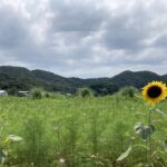 考えに考えて決めたことだけど、、、 #3633