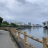 走るモチベーションが低下。今はそんな時期。 #3628