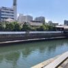 ワクワクの一日。これからの楽しみ。 #3641