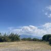 月曜日。今日から仕事、それもよし。 #3666