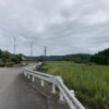 来年の夏は、家族で海外旅行のラストチャンス！？ #3687
