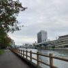 休日に自宅で一人。やりたいことなし。 #3692