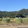 自分の居場所はどこ？それが分からない。 #3697