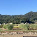 自分の居場所はどこ？それが分からない。 #3697